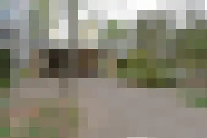 Eper Veste 109 Epe thumbnail 26