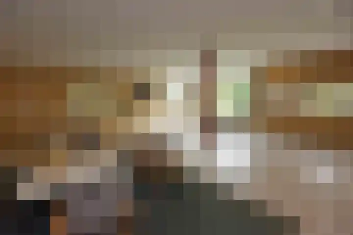 Eper Veste 109 Epe thumbnail 28