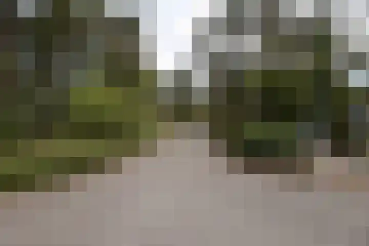 Eper Veste 109 Epe thumbnail 34
