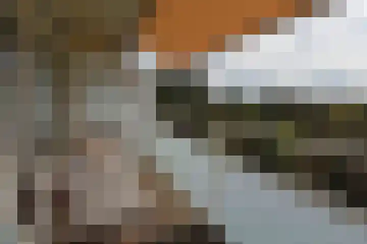 Eper Veste 109 Epe thumbnail 9