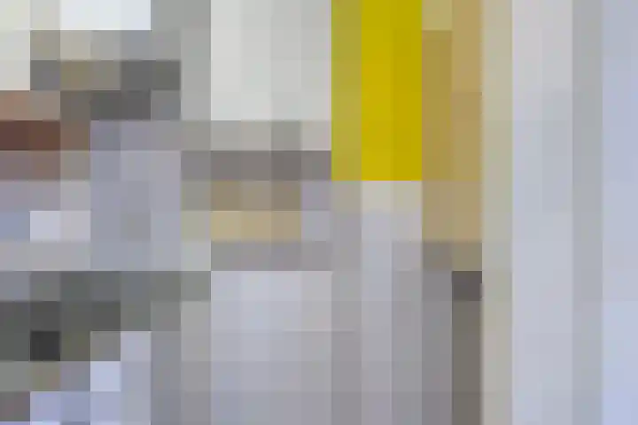Eper Veste 2 Epe thumbnail 11