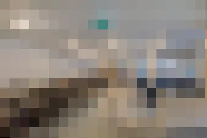 Eper Veste 2 Epe thumbnail 14