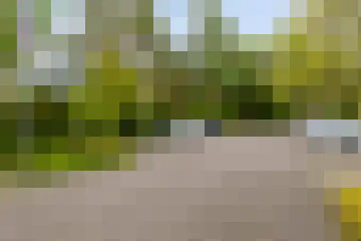 Eper Veste 2 Epe thumbnail 15
