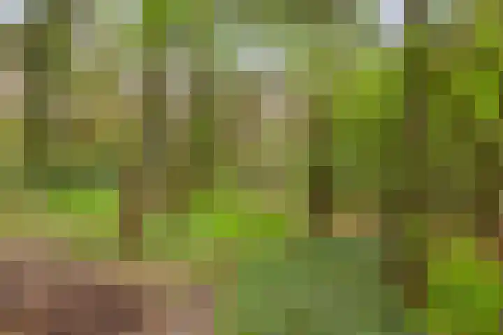 Eper Veste 2 Epe thumbnail 16