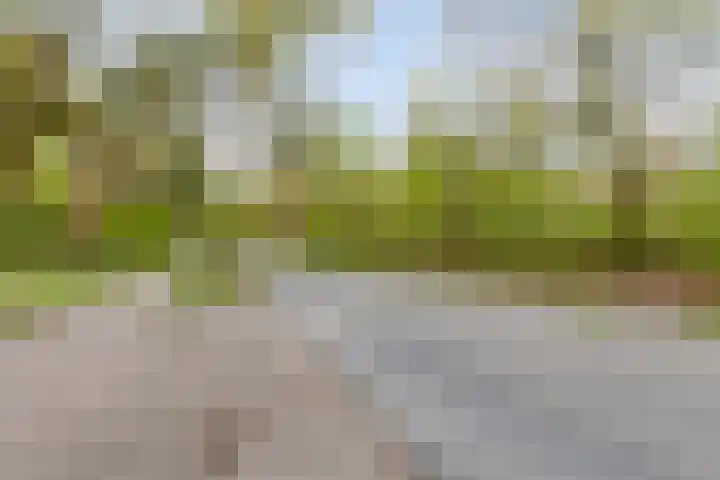 Eper Veste 2 Epe thumbnail 17
