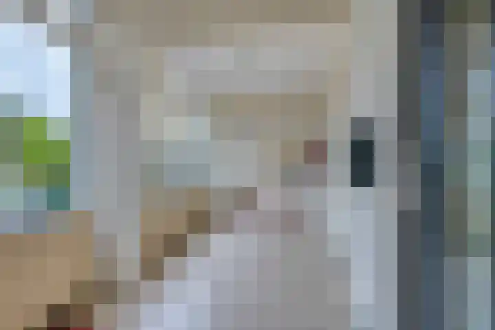 Eper Veste 2 Epe foto 2
