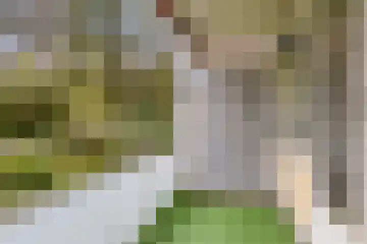 Eper Veste 2 Epe thumbnail 7