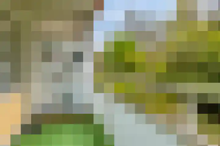 Eper Veste 2 Epe thumbnail 8