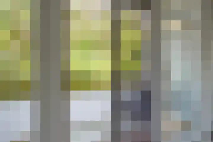 Eper Veste 5 Epe thumbnail 12