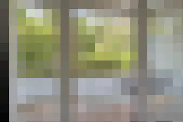 Eper Veste 5 Epe thumbnail 13