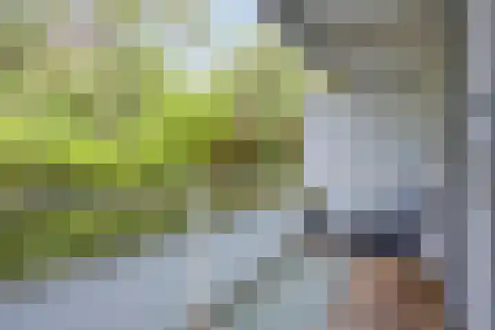 Eper Veste 5 Epe thumbnail 14