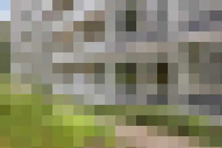 Eper Veste 5 Epe thumbnail 16