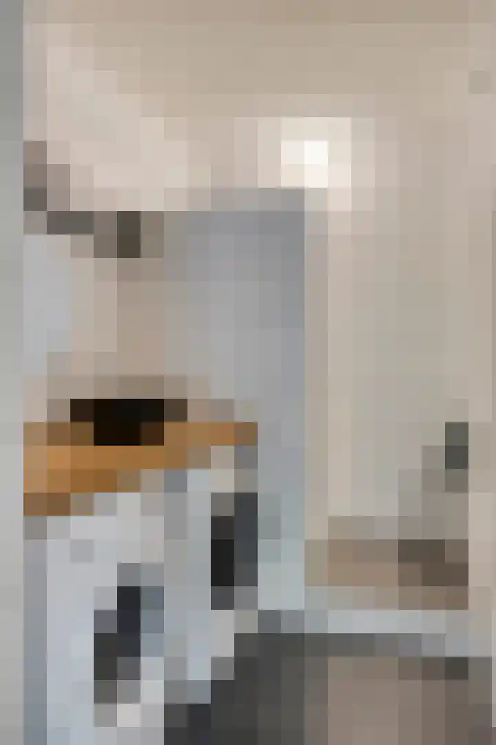 Eper Veste 5 Epe thumbnail 19