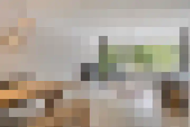 Eper Veste 5 Epe foto 2