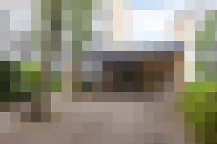 Eper Veste 5 Epe thumbnail 26