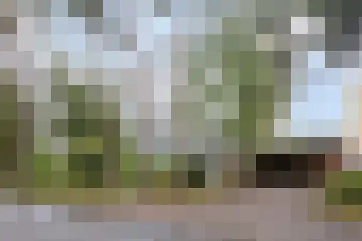 Eper Veste 5 Epe thumbnail 27