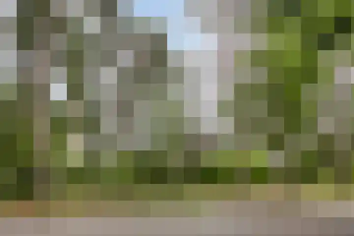 Eper Veste 5 Epe thumbnail 28