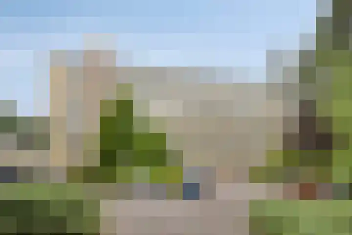 Eper Veste 5 Epe thumbnail 31