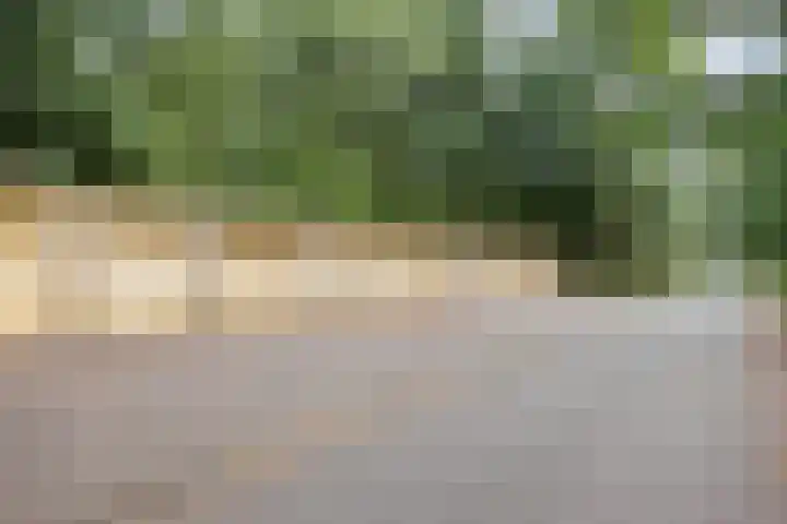 Eper Veste 5 Epe thumbnail 32