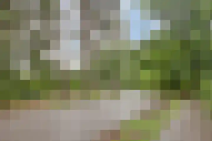 Eper Veste 5 Epe thumbnail 34