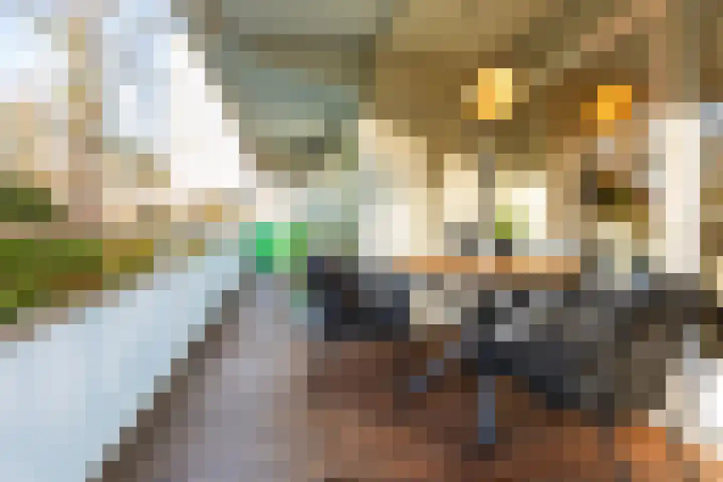 Eper Veste 58 Epe thumbnail 23