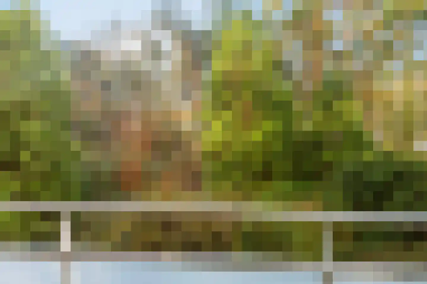 Eper Veste 58 Epe thumbnail 24