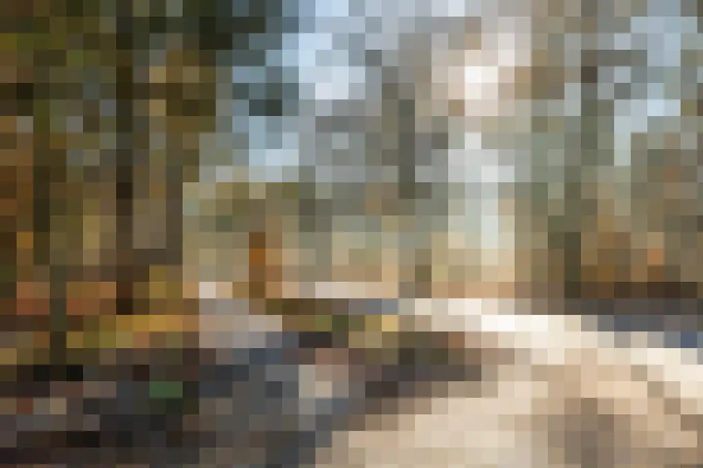 Eper Veste 58 Epe thumbnail 29