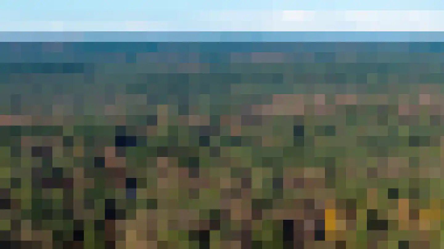 Eper Veste 58 Epe thumbnail 30