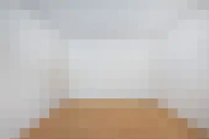 Eper Veste 71 Epe thumbnail 12
