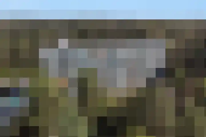 Eper Veste 71 Epe foto 2