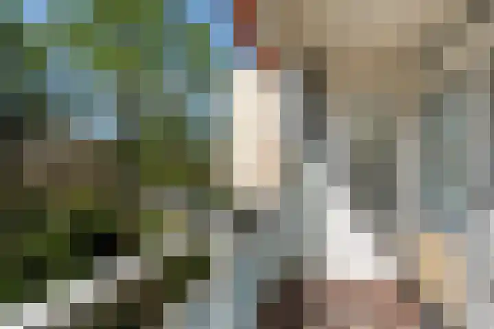 Eper Veste 71 Epe thumbnail 20