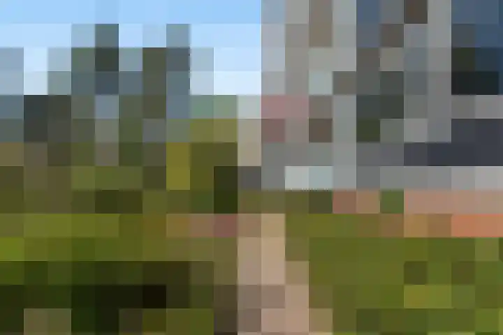 Eper Veste 71 Epe thumbnail 22