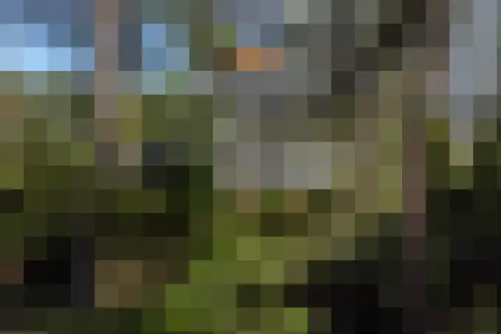 Eper Veste 71 Epe thumbnail 24
