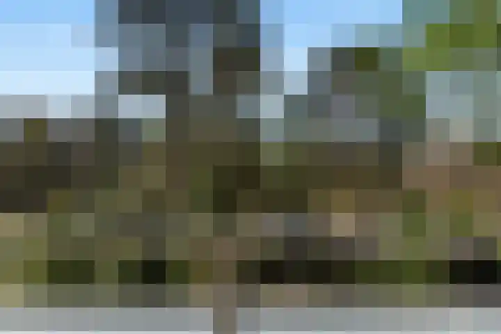 Eper Veste 71 Epe thumbnail 25