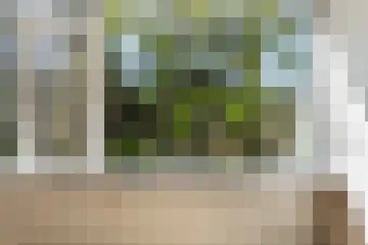 Eper Veste 71 Epe thumbnail 26