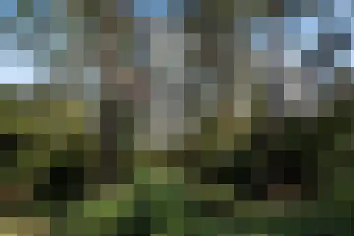 Eper Veste 71 Epe thumbnail 30