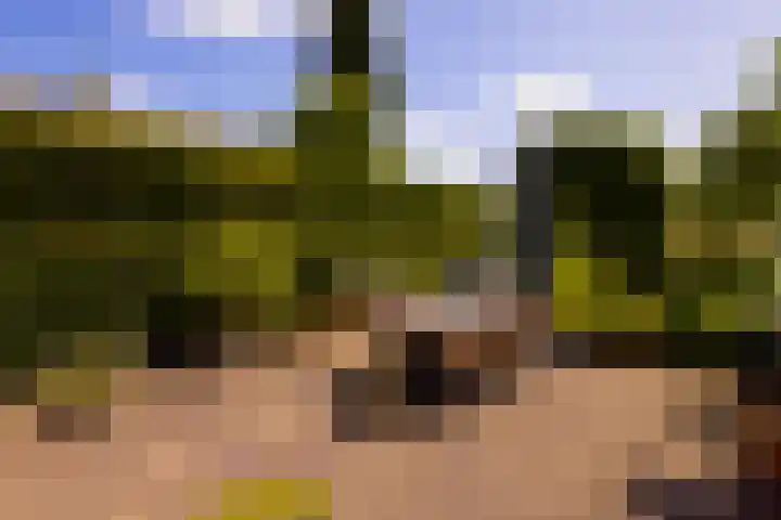 Eperweg 15 Heerde thumbnail 40