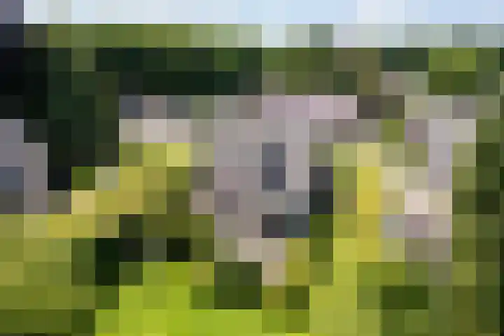 Eperweg 15 Heerde thumbnail 53