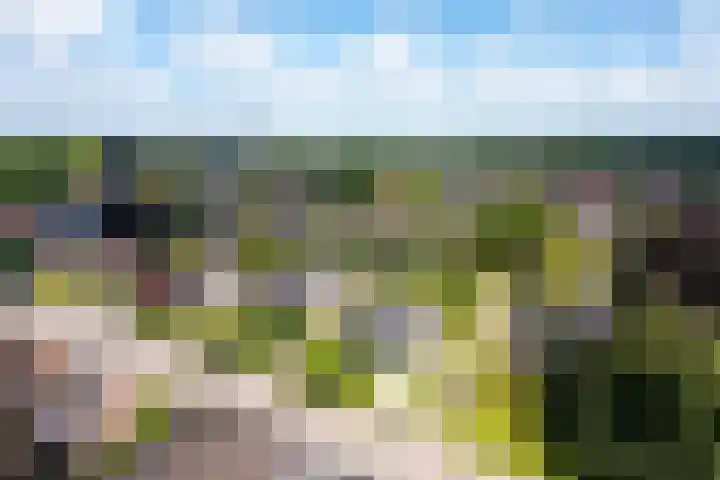 Eperweg 15 Heerde thumbnail 54
