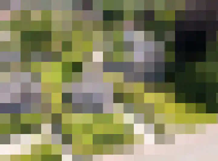 Eperweg 15 Heerde thumbnail 56