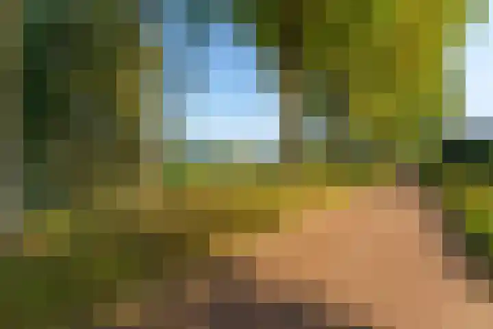 Eppe 13 Geldrop thumbnail 42