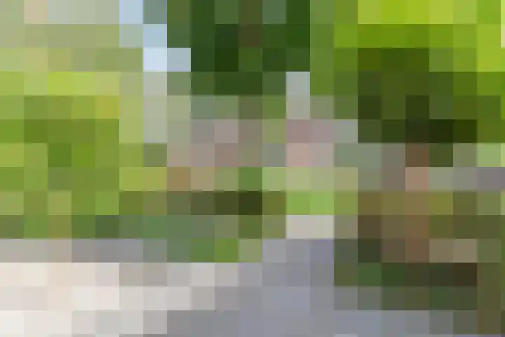 Eppe 5 Geldrop thumbnail 10