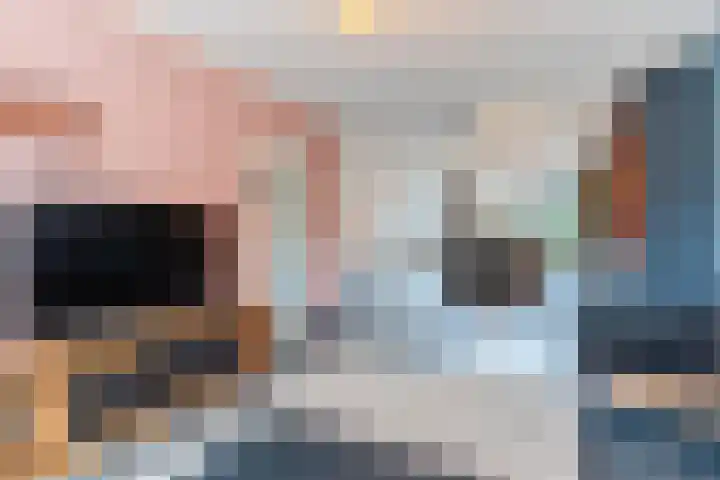 Eppe 5 Geldrop thumbnail 16