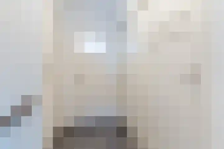 Eppe 5 Geldrop thumbnail 26