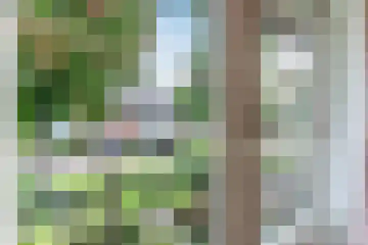 Eppe 5 Geldrop thumbnail 29