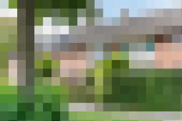 Eppe 5 Geldrop thumbnail 6