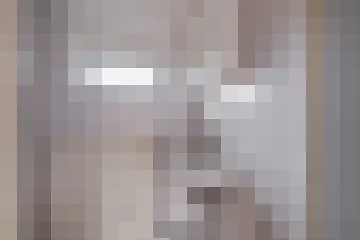 Epserenk 1 Epse thumbnail 14