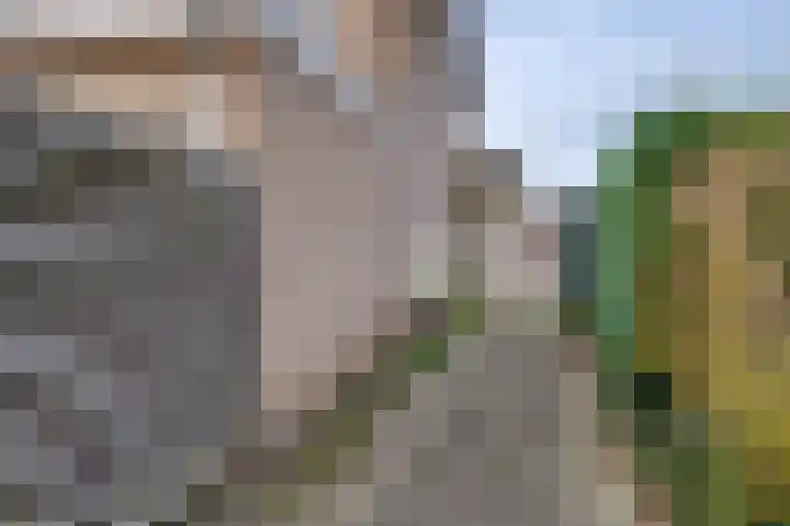 Epserenk 1 Epse thumbnail 20