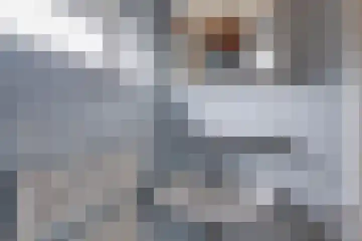 Epserenk 9 Epse thumbnail 16