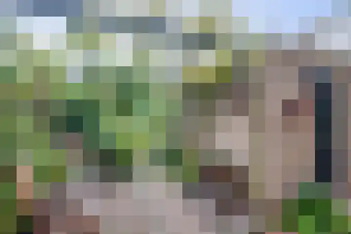 Epserenk 9 Epse thumbnail 19